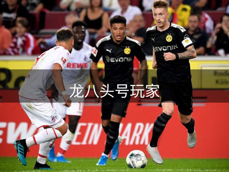 龙八头号玩家品牌故事
